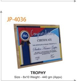 TROPHY Size - 8x10 Weight - 440 gm (Appx)