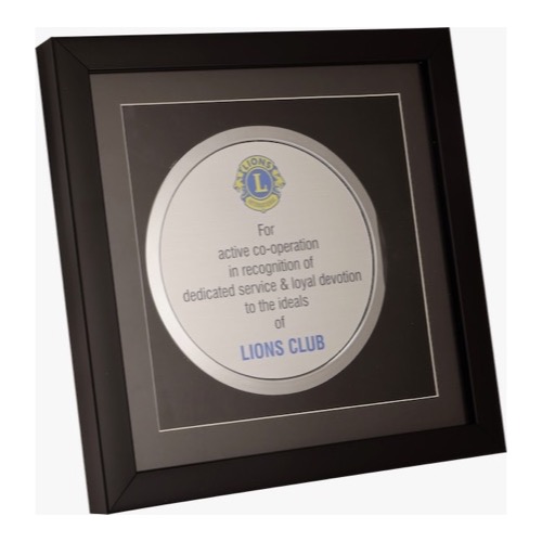 Trophie - Size: 10.5"*10.5"