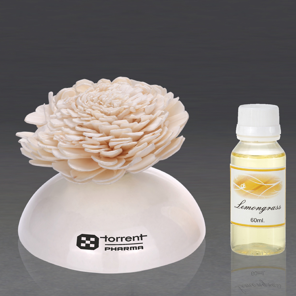 Reed Diffuser - Assorted Fragrances - Torrent