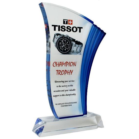 9" Outstanding Champion Memento