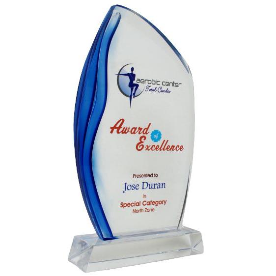 8.5" Excellence Memento