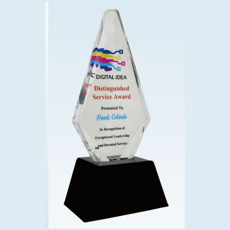 10.5" Half Triangle Shaped memento 