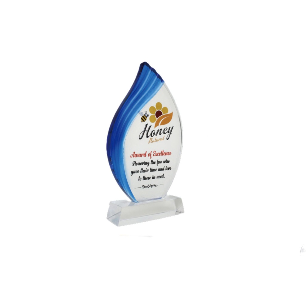 8.5" Excellence Acrylic memento 
