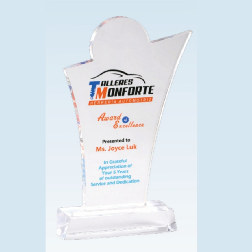 8" Puzzle Shaped memento 