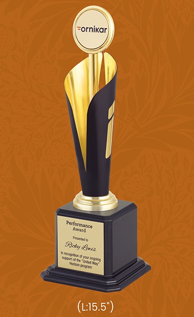 Trophy With Thermocol and Box Packing - Size : 15.5" inch