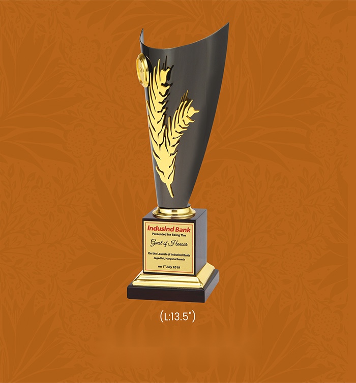 Trophies & Awards with box