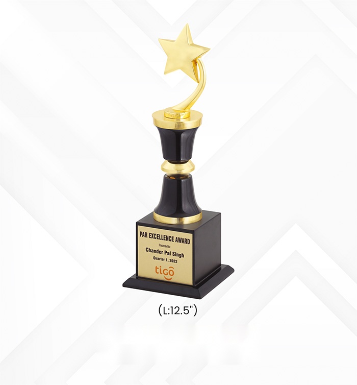 Star Trophies with box