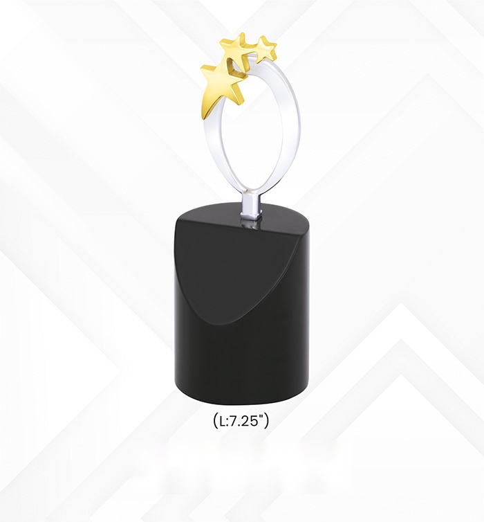 Star Trophies with box