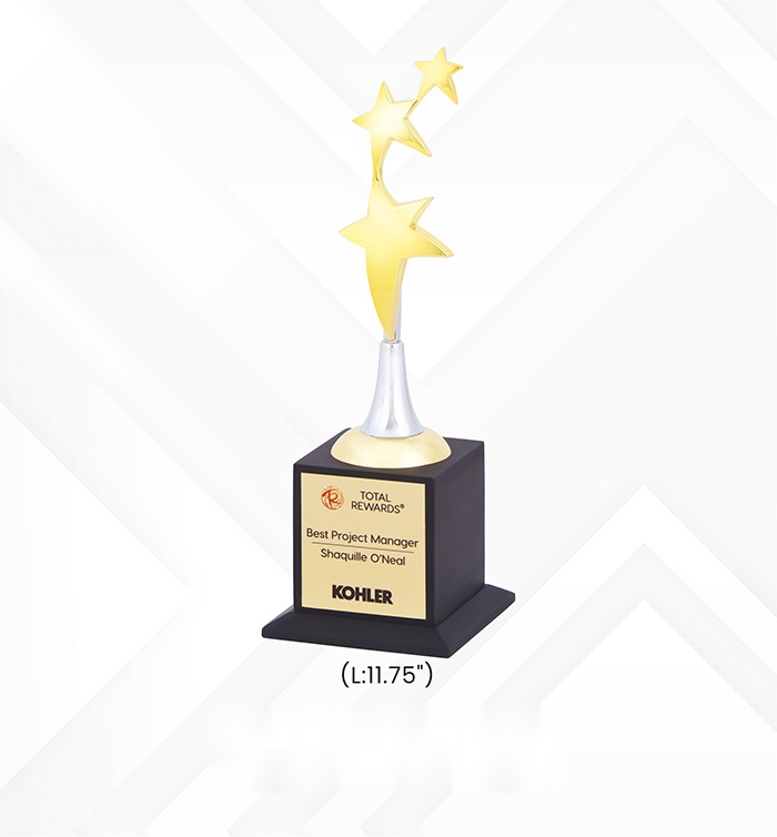 Star Trophies with box
