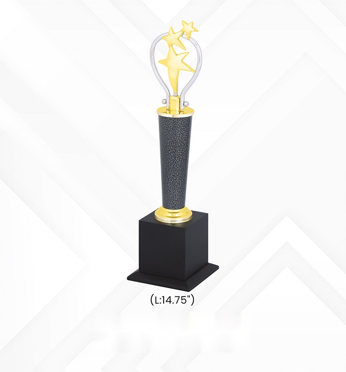 Star Trophies with box