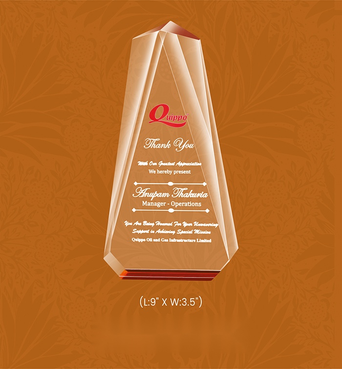[63691] Acryic Awards with box