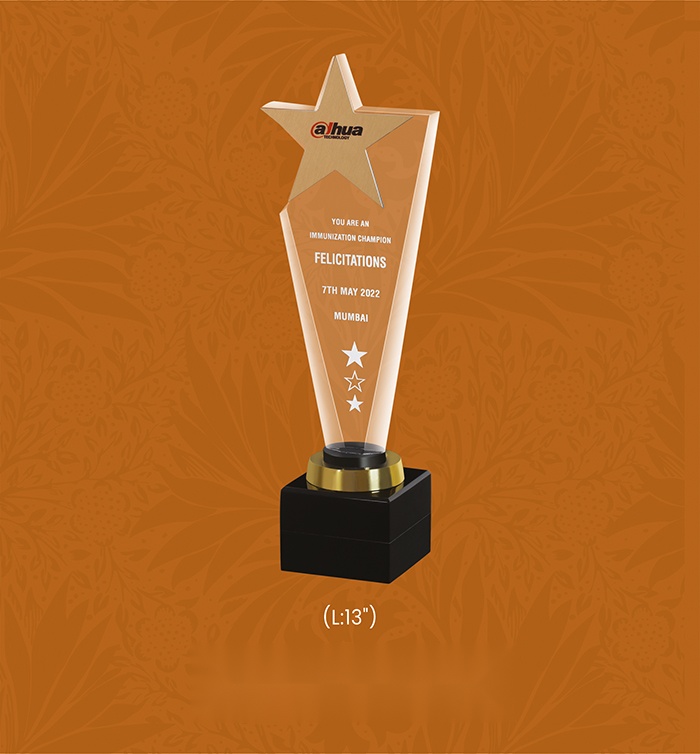 [63692] Acryic Awards with box