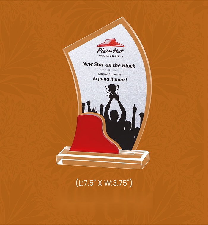 [63695] Acryic Awards with box