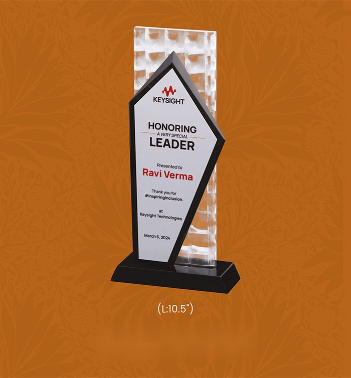 [63700] Acryic Awards with box