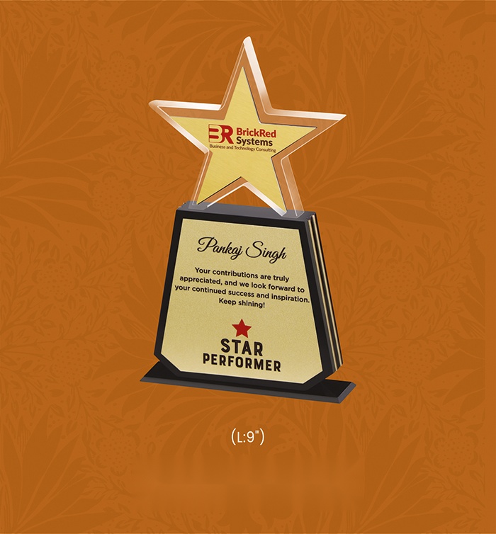 [63705] Acryic Awards with box