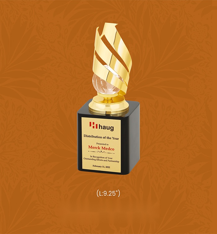 [63773] Trophies & Awards with box