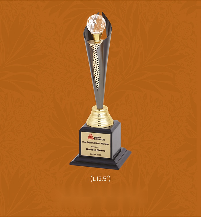 [63776] Trophies & Awards with box