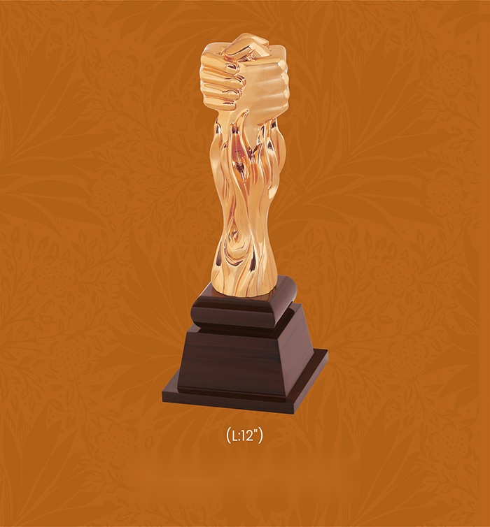 [63777] Trophies & Awards with box