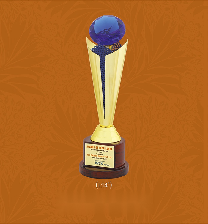 [63780] Trophies & Awards with box