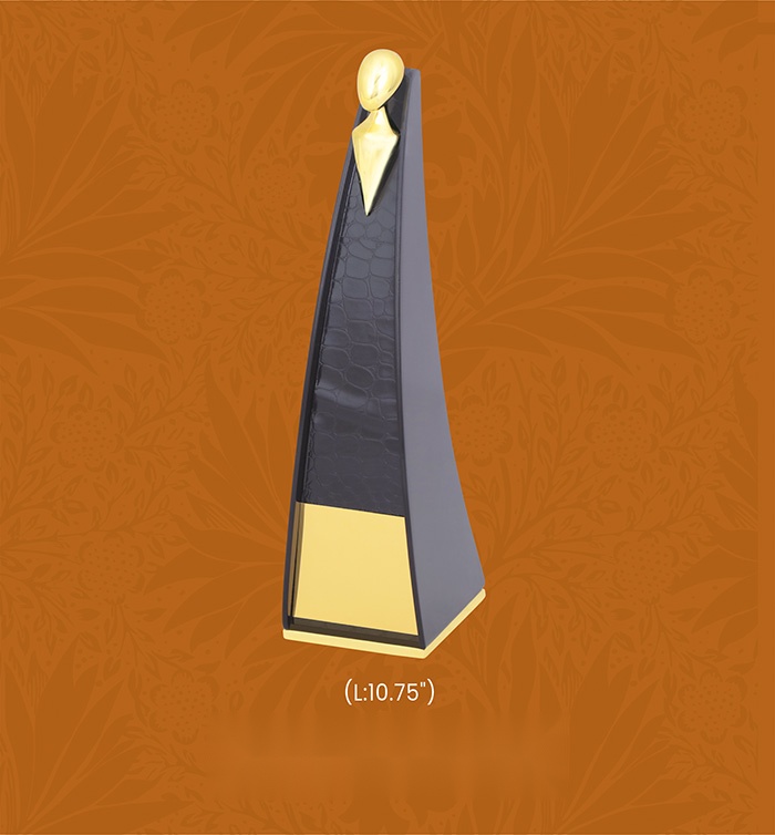 [63784] Trophies & Awards with box
