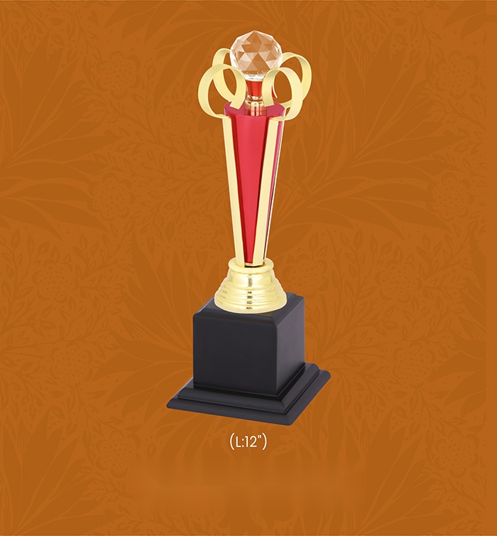 [63786] Trophies & Awards with box