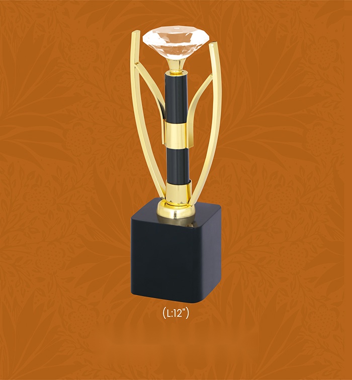 [63790] Trophies & Awards with box