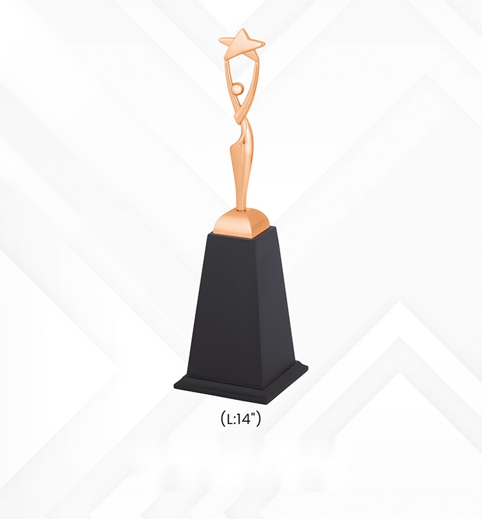 [63791] Trophies & Awards with box