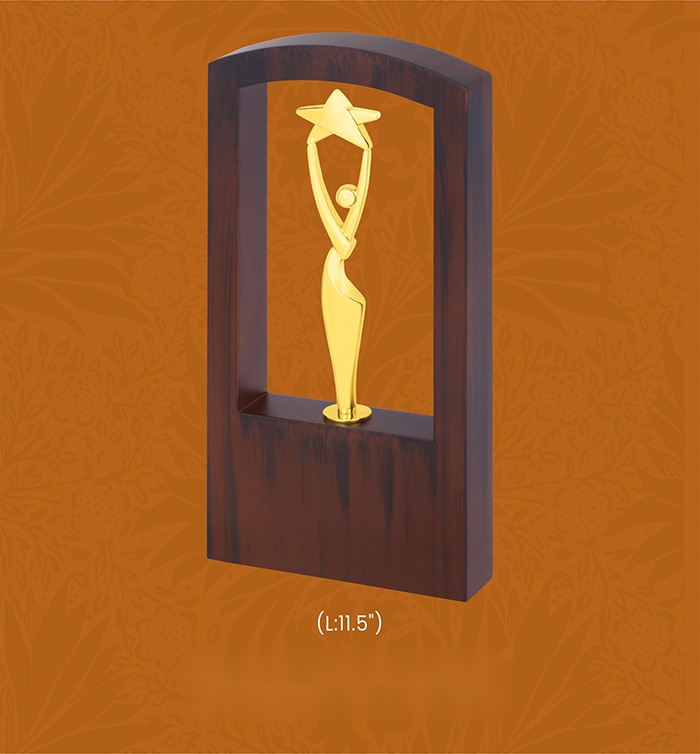 [63792] Trophies & Awards with box