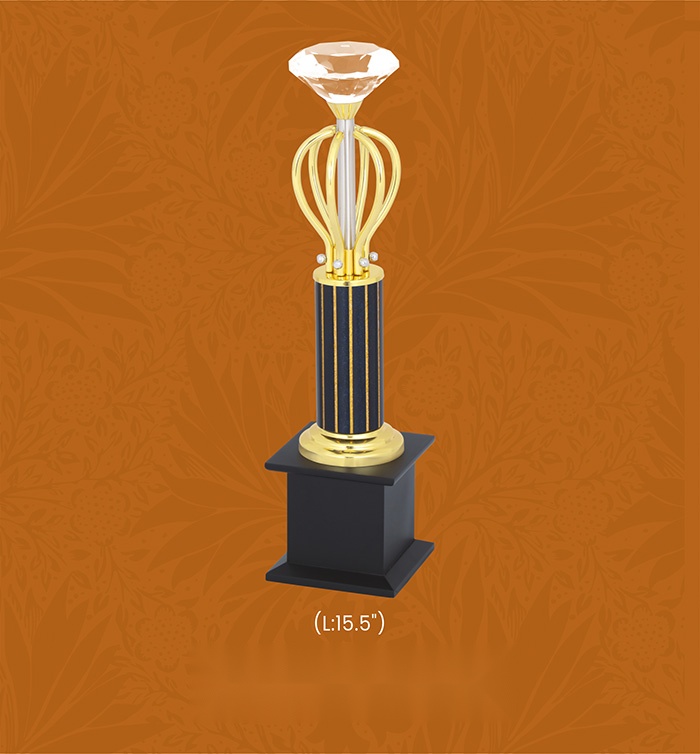 [63793] Trophies & Awards with box