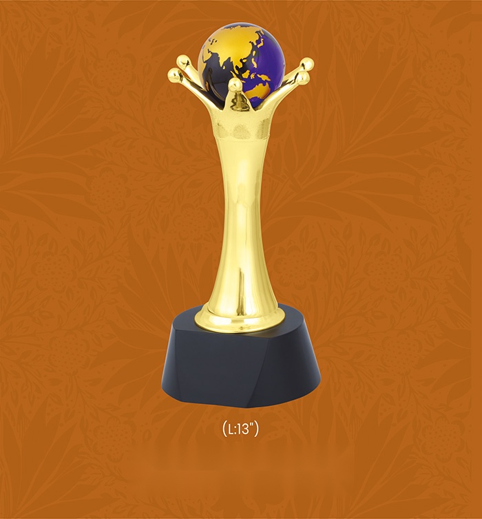[63794] Trophies & Awards with box
