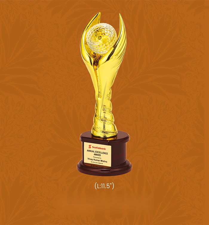 [63795] Trophies & Awards with box