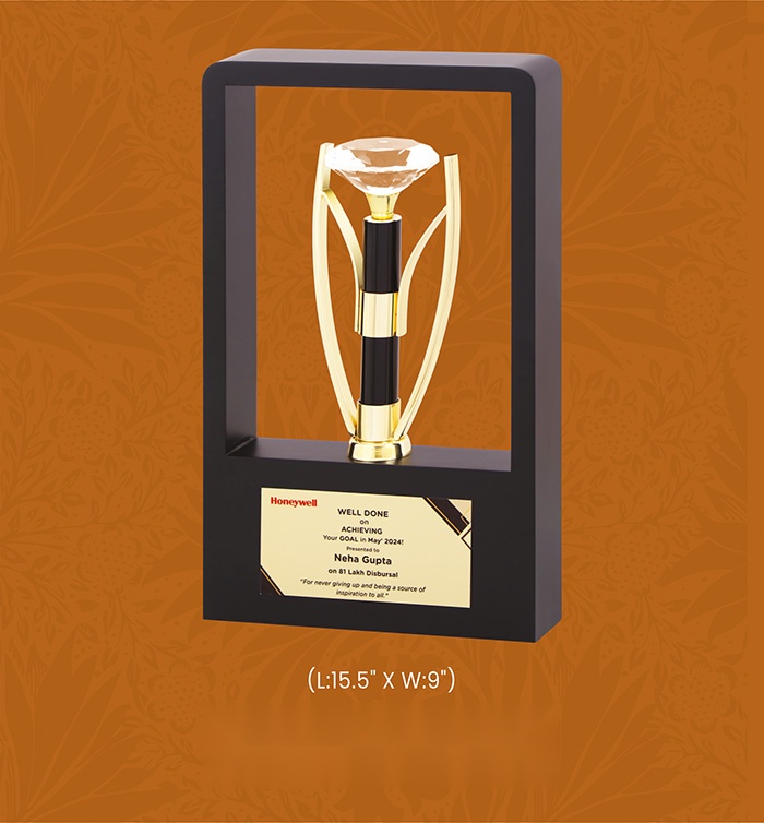 [63796] Trophies & Awards with box