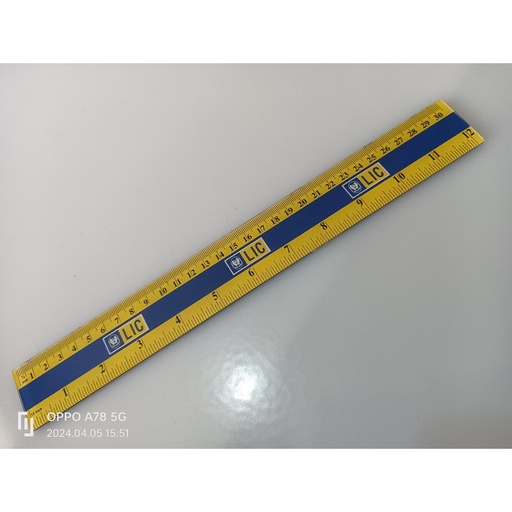 [33833] Scale acrylic sandwich two side branding 30 cm LIC