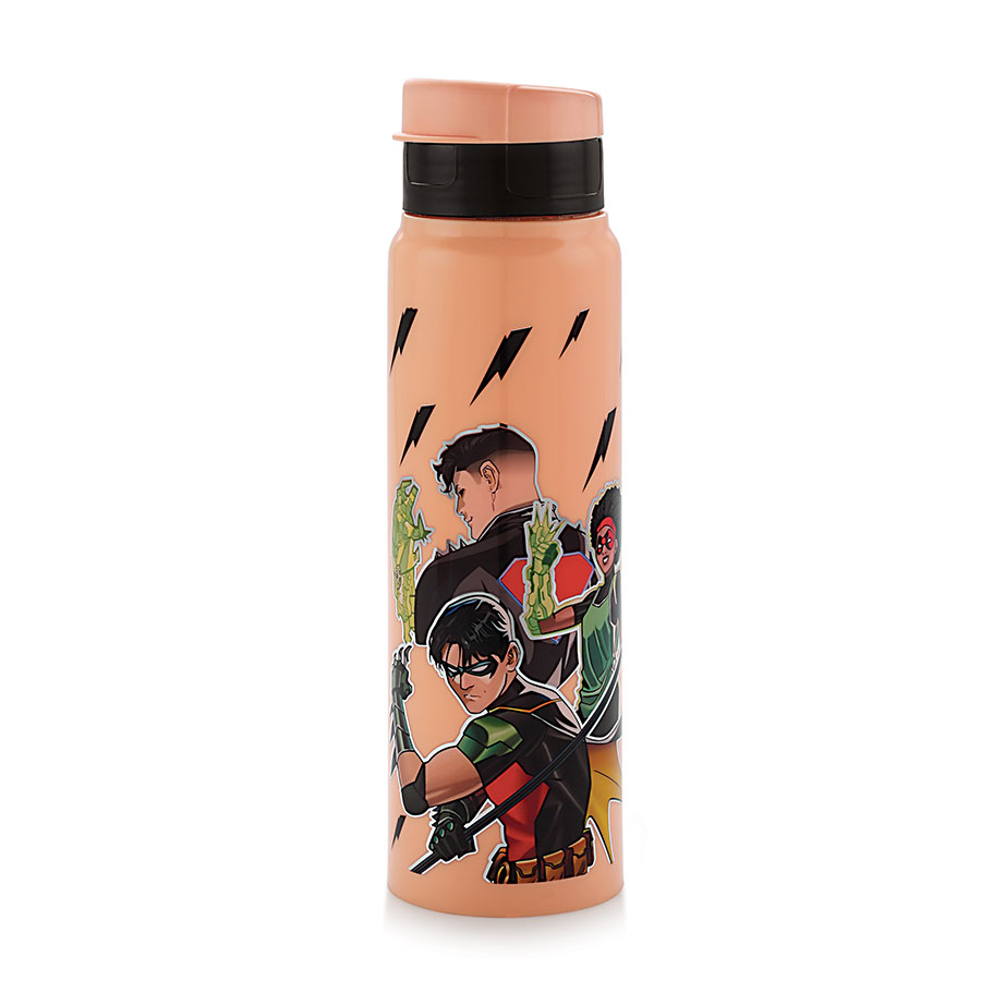[61810] steel zetta small dlx inner steel insulated water bottle