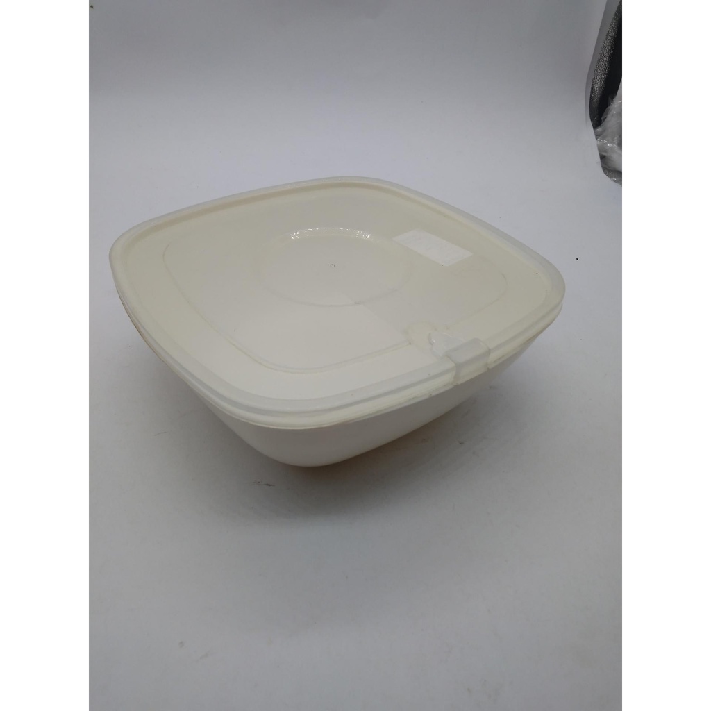 [34843] Food Container 
