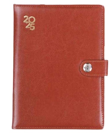 [63011] DIARY - A5 1DT. BROWN WITH LUPPI