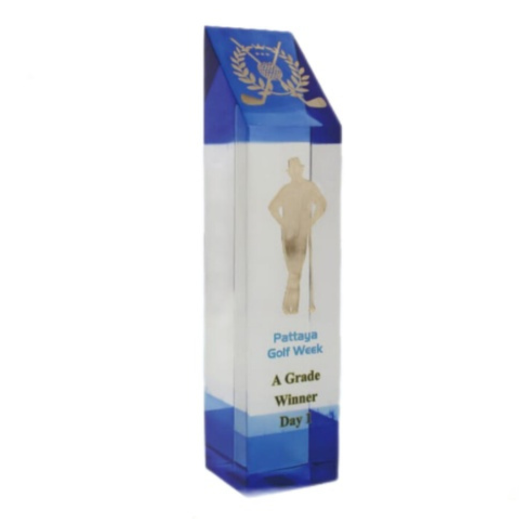 [60434] 8.5" Winner Acrylic memento 