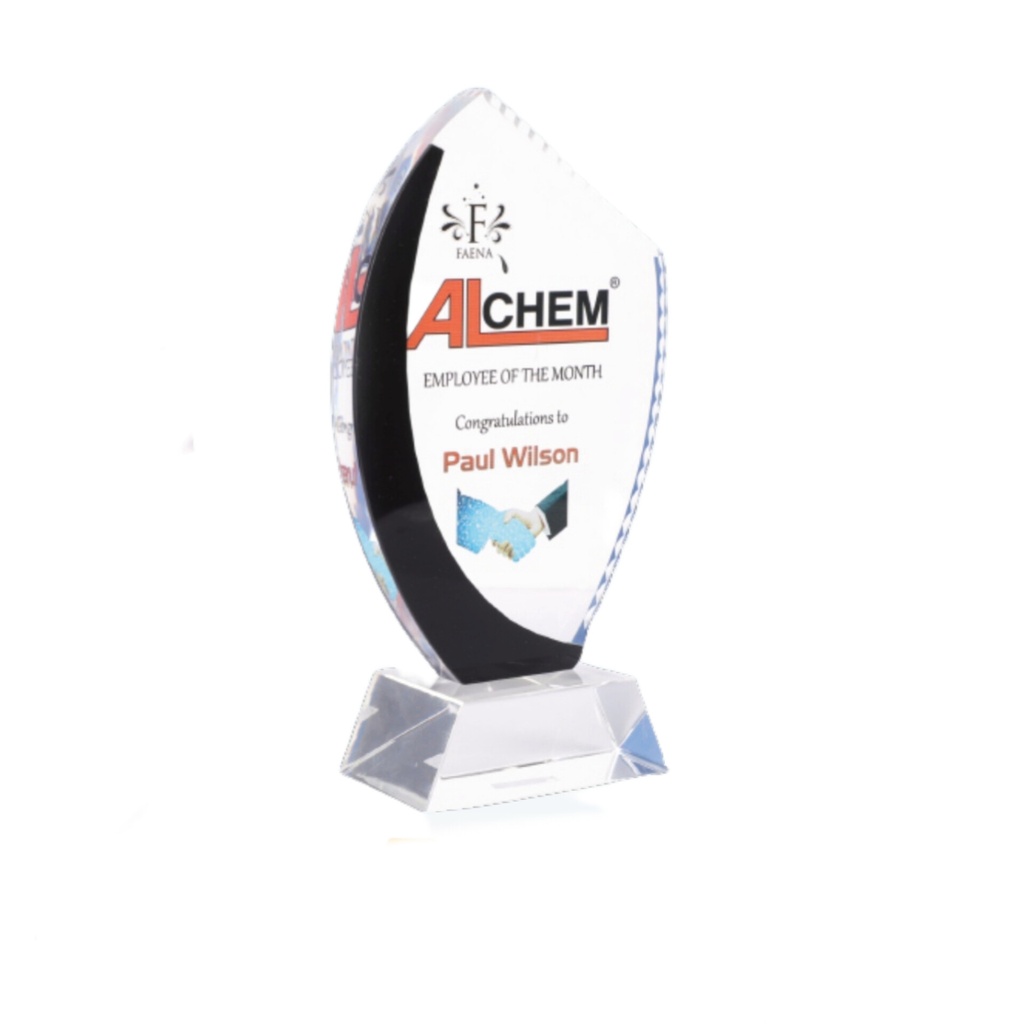 [60462] 9.5" Excellence memento 
